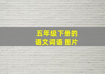 五年级下册的语文词语 图片